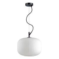 Подвесной светильник Odeon Light Roofi 4754/1