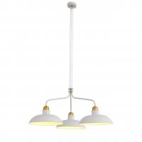 Подвесная люстра ST Luce Pietanza SL323.503.03