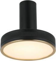 Светильник потолочно/настенный Stilfort 4025/02/01CW, серия Tendas