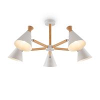 Потолочная люстра Freya Rise FR5169PL-05W