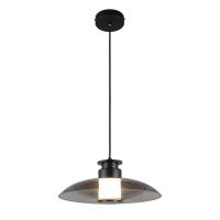 Подвесной светодиодный светильник Aployt Stefa APL.648.06.10