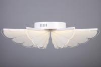 Потолочная светодиодная люстра Omnilux OML-48207-80