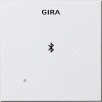 Лицевая панель Gira System 55 для вставки док-станции чисто-белый глянцевый 228803