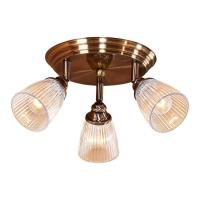 Спот Citilux Виндзор CL539631