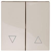 Лицевая панель ЭРА выключателя двухклавишного слоновая кость 12-6203-02 Б0047851