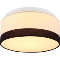 Потолочный светодиодный светильник Globo Maggy 15385D