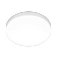 Потолочный светодиодный светильник Elektrostandard DLR043 10W 4200K a047940