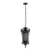 Уличный подвесной светильник Loft IT Tremezzo 100019P BS