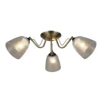 Потолочная люстра Wedo Light Rena 66609.01.37.03