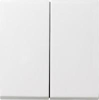 Лицевая панель Gira System 55 выключателя двухклавишного чисто-белый шелковисто-матовый 029527