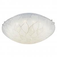 Потолочный светодиодный светильник Globo Joy 48259-12