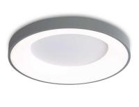 Потолочный светодиодный светильник Ambrella light Orbital Design FZ1402