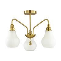 Потолочная люстра Lumion Moderni Eleonora 4562/3C