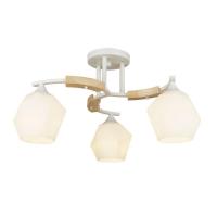 Потолочная люстра Wedo Light Lalio 66587.01.09.03