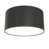 Потолочный светильник Technical C032CL-12W3K-RD-B