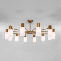 Потолочная люстра Eurosvet Vegga 70160/12 латунь Smart