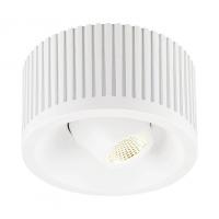 Потолочный светодиодный светильник SLV Occuldas 13 Move 117361