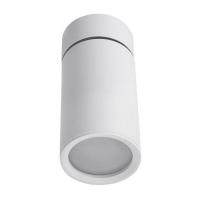 Потолочный светильник Lucia Tucci LTP-C007-01GU10-W