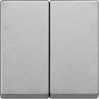 Клавиша двойная Schneider Electric Merten System M MTN433560