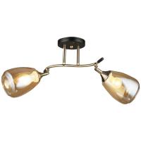 Потолочная люстра Wedo Light Иллази 66277.01.37.02