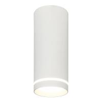 Потолочный светодиодный светильник Escada 20009SMU/02LED SWH