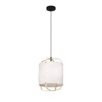 Подвесной светильник Eglo Surfleet 43874