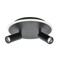 Потолочный светодиодный светильник Escada 20046SMA/02LED BK