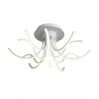 Потолочный светодиодный светильник ST Luce Finde SL826.502.12