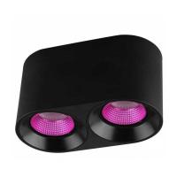 Потолочный светильник Denkirs DK3020BPI DK3096-BK+PI