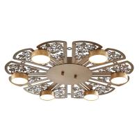 Потолочная светодиодная люстра Favourite Ornamentum 2604-6C