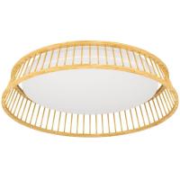 Потолочный светодиодный светильник Eglo Luppineria 900797