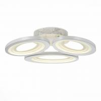 Потолочный светодиодный светильник ST Luce SL895.502.03