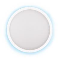 Настенно-потолочный светодиодный светильник Duwi Round с датчиком движ. 12 Вт 4000K 25121 7