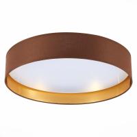 Потолочный светодиодный светильник Evoluce Brescia SLE300592-01