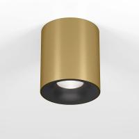 Потолочный светодиодный светильник Elektrostandard Primo 25116/LED a069414