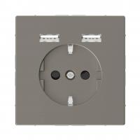 Розетка компьютерная USBx2 Schneider Electric Merten D-Life MTN2366-6050