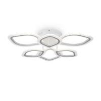 Потолочная светодиодная люстра Freya Saida FR10016CL-L72W