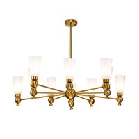 Подвесная люстра Favourite Nimbus 2996-10P