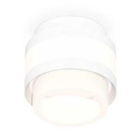 Комплект накладного светильника Ambrella light Techno Spot XS (C8418, N8401) XS8418001