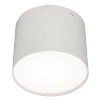 Потолочный светодиодный светильник Escada 20004SMU/01LED SWH