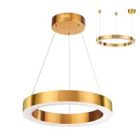 Подвесной светодиодный светильник Odeon Light Brizzi 3885/25LG