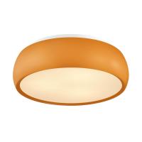 Потолочный светильник Lumion Moderni Timo 4414/3C