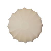 Потолочный светильник TopDecor Muse AP3 10 09s