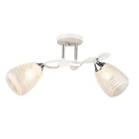 Потолочная люстра Wedo Light Albenga 66423.01.64.02