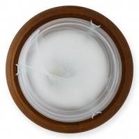 Настенный светильник Toplight Irma TL9073Y-02OA