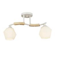 Потолочная люстра Wedo Light Lalio 66587.01.09.02