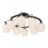 Потолочная люстра Silver Light Aranda 228.59.8