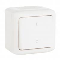 Выключатель одноклавишный двухполюсный Legrand Quteo 10A 250V IP44 белый 782309