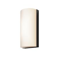 Настенный светильник (бра) Outdoor O454WL-L10GF3K1