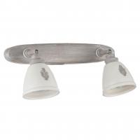 Спот Maytoni Agnes SP289-CW-02-BG